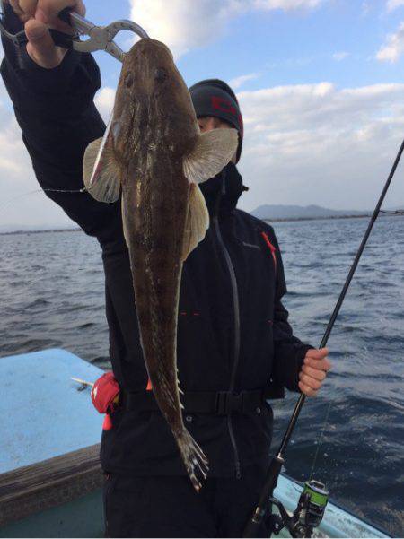 アマテラス 釣果