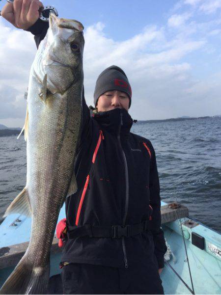 アマテラス 釣果