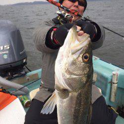 アマテラス 釣果