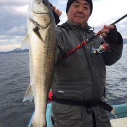 アマテラス 釣果