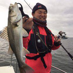 アマテラス 釣果