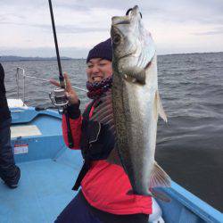 アマテラス 釣果