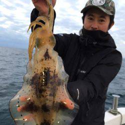 エヌスタイル 釣果