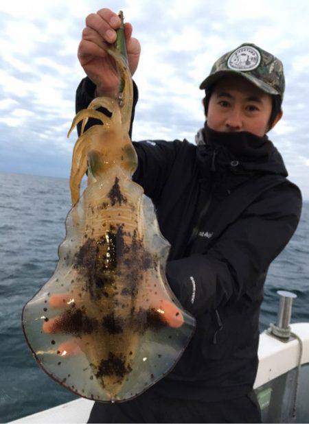 エヌスタイル 釣果