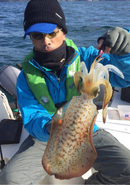 「LaGooN」蒼陽丸 日和号 釣果