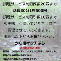 としまえんフィッシングエリア 釣果