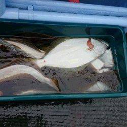 小樽港遊漁船SHAKE 釣果