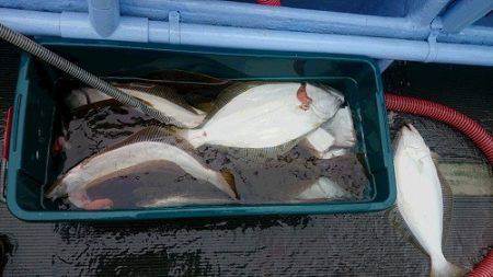 小樽港遊漁船SHAKE 釣果