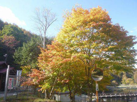 平谷湖フィッシングスポット 釣果
