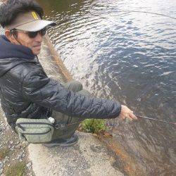 平谷湖フィッシングスポット 釣果