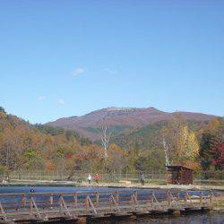 平谷湖フィッシングスポット 釣果