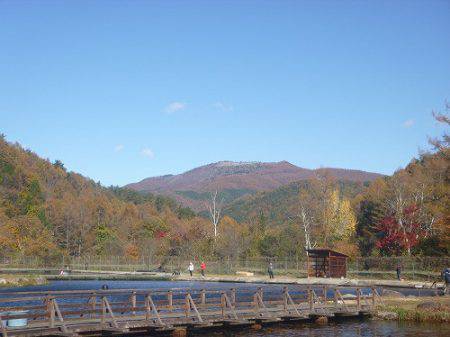 平谷湖フィッシングスポット 釣果