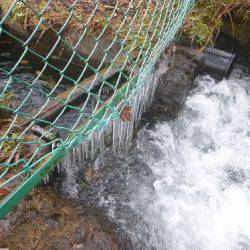 平谷湖フィッシングスポット 釣果