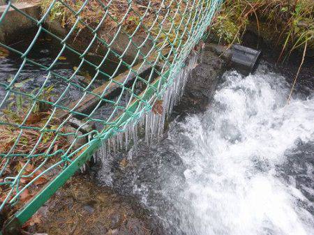 平谷湖フィッシングスポット 釣果
