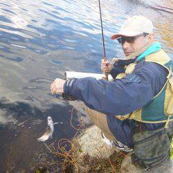 平谷湖フィッシングスポット 釣果