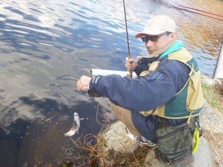 平谷湖フィッシングスポット 釣果