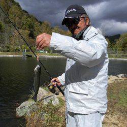 平谷湖フィッシングスポット 釣果