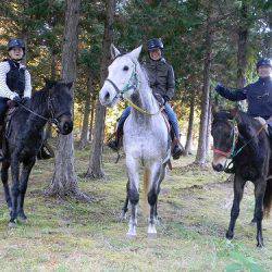 平谷湖フィッシングスポット 釣果