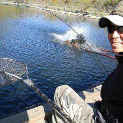 平谷湖フィッシングスポット 釣果