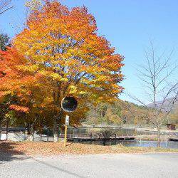 平谷湖フィッシングスポット 釣果