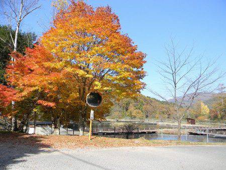 平谷湖フィッシングスポット 釣果