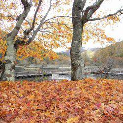 平谷湖フィッシングスポット 釣果