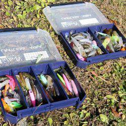 平谷湖フィッシングスポット 釣果