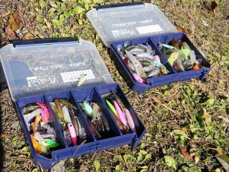 平谷湖フィッシングスポット 釣果