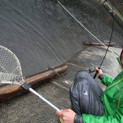 平谷湖フィッシングスポット 釣果
