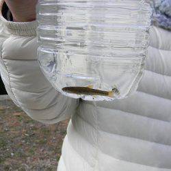 平谷湖フィッシングスポット 釣果