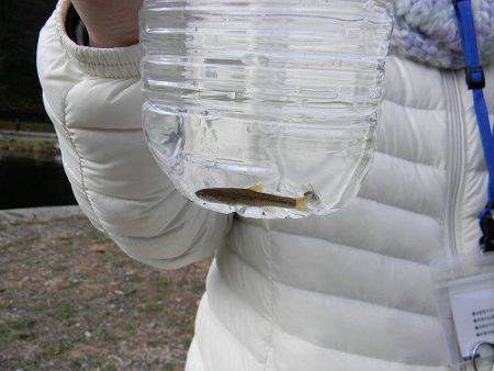 平谷湖フィッシングスポット 釣果