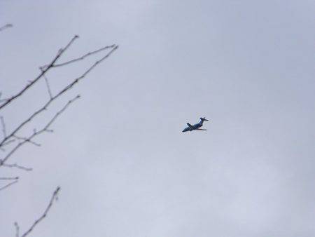 平谷湖フィッシングスポット 釣果