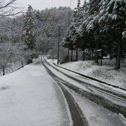 平谷湖フィッシングスポット 釣果