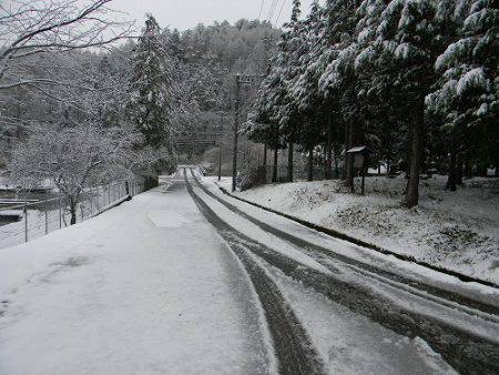平谷湖フィッシングスポット 釣果