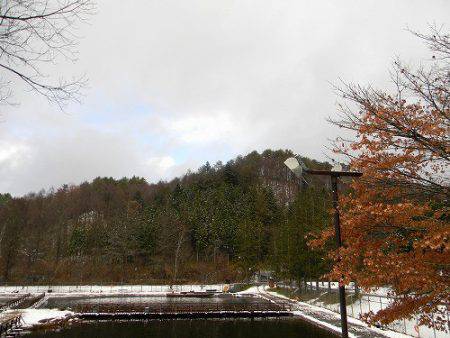 平谷湖フィッシングスポット 釣果