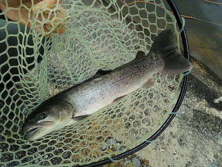 平谷湖フィッシングスポット 釣果