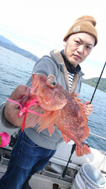 ARCADIAⅡ (アルカディアⅡ) 釣果