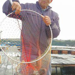 海の釣堀 海恵 釣果