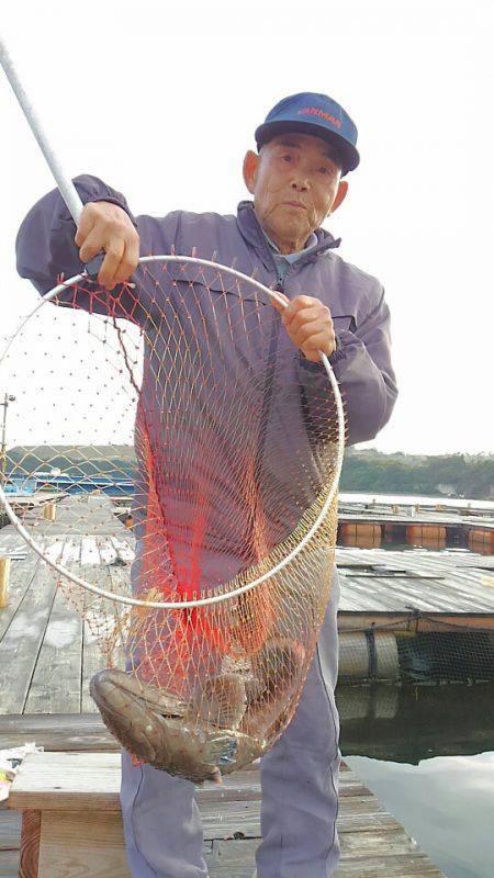 海の釣堀 海恵 釣果