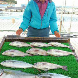 海の釣堀 海恵 釣果