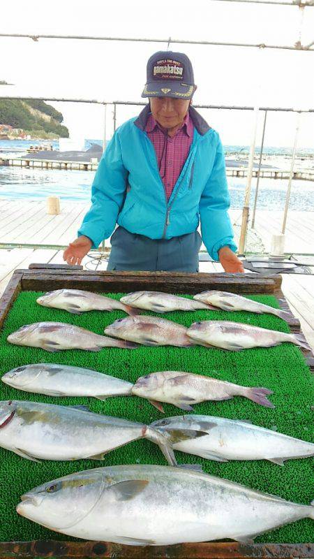 海の釣堀 海恵 釣果