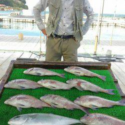 海の釣堀 海恵 釣果