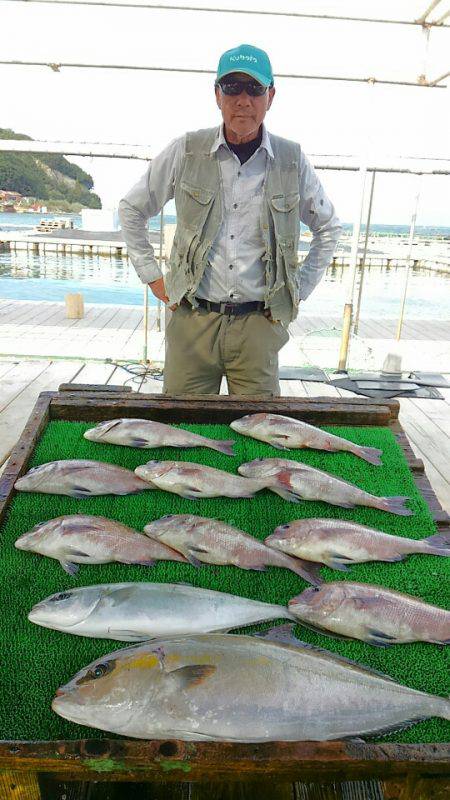海の釣堀 海恵 釣果
