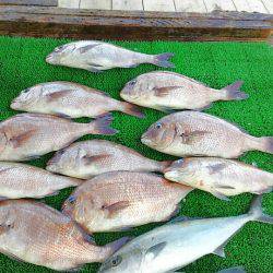 海の釣堀 海恵 釣果