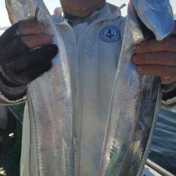 金沢八景鴨下丸 釣果