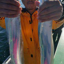 金沢八景鴨下丸 釣果