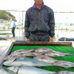 海の釣堀 海恵 釣果