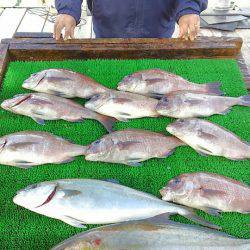 海の釣堀 海恵 釣果