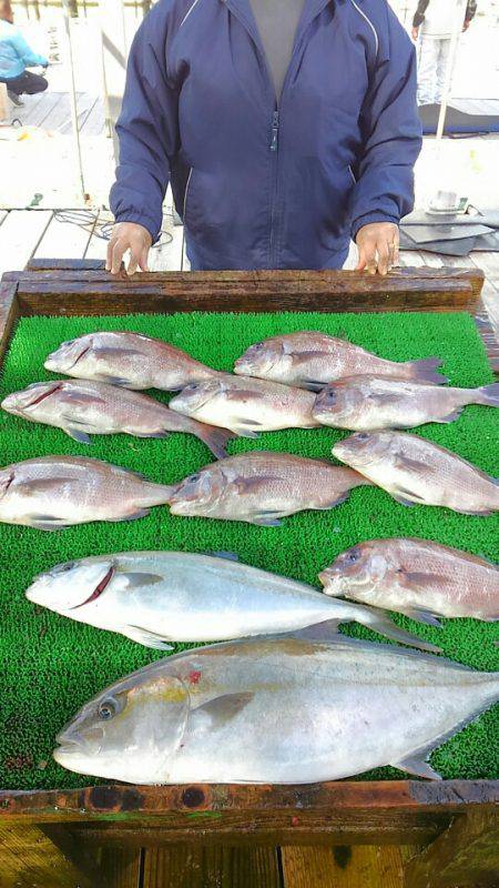 海の釣堀 海恵 釣果