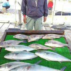 海の釣堀 海恵 釣果